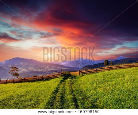 Mountain summer landscape. High grass and cloudy sky. A clear, Sunny day