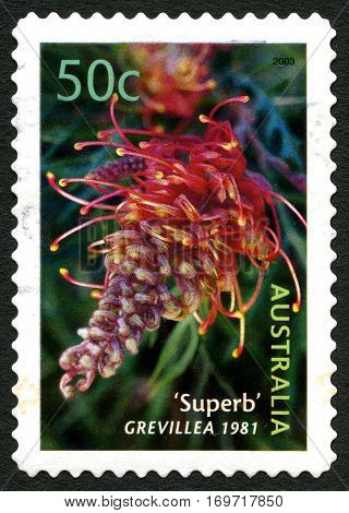 AUSTRALIA - CIRCA 2003: A used postage stamp from Australia depicting an image of a Grevillea flowering plant circa 2003.