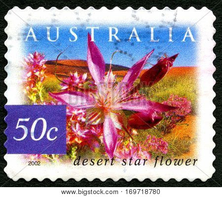 AUSTRALIA - CIRCA 2003: A used postage stamp from Australia depicting an image of a Deser Star Flower circa 2003.