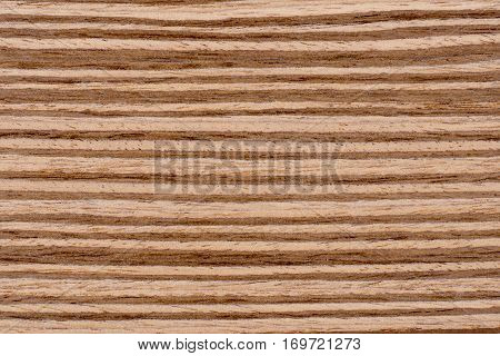 Texture of brown zebrano veneer wood background