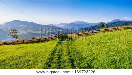 Mountain summer landscape. High grass and cloudy sky. A clear, Sunny day