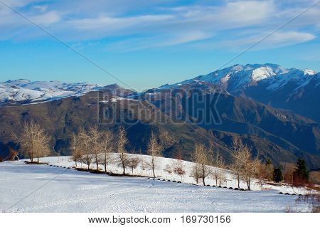 Snow mountains in Chile. Beautiful landscape with blue sky, peaks and trees