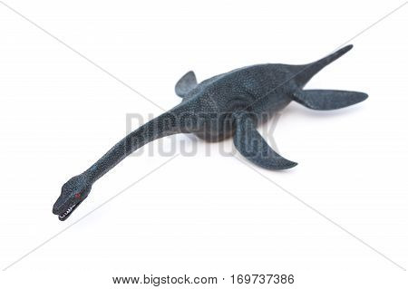 piece of plesiosaurus on a white background