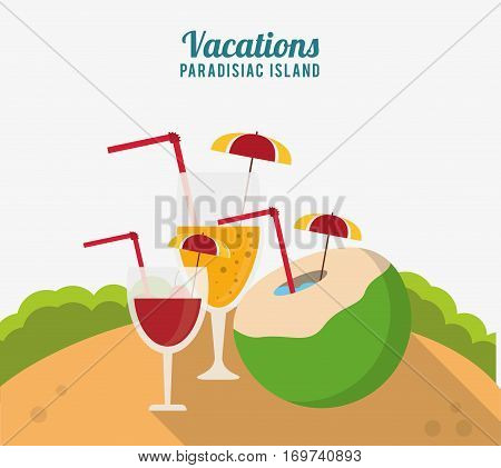 vacations paradisiac island cocktails drink celebration vector illustration eps 10