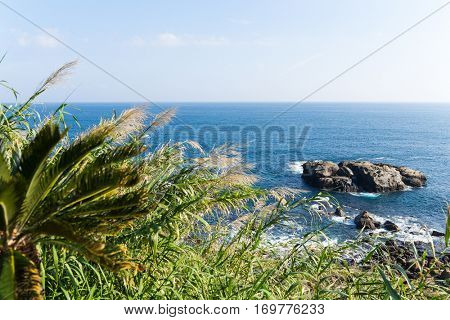 Coastline in Nichinan Kaigan Quasi National Park
