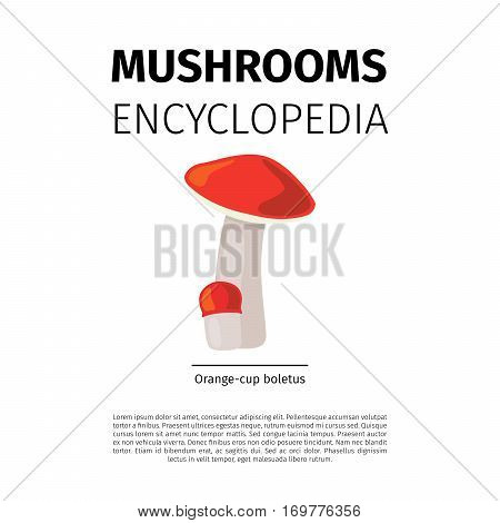 Mushrooms Encyclopedia vector design. Orange-cup boletus illustration on white background