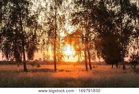 Sunset