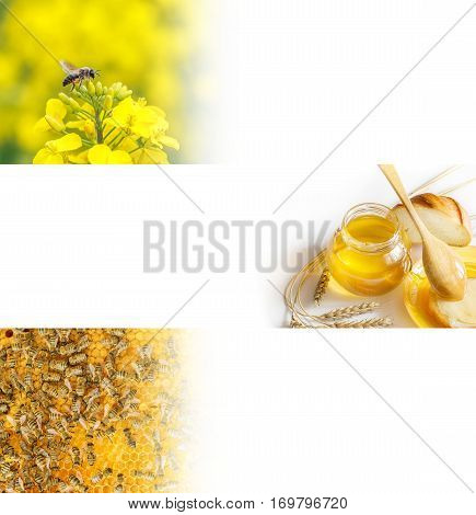 Honey Bee Banner