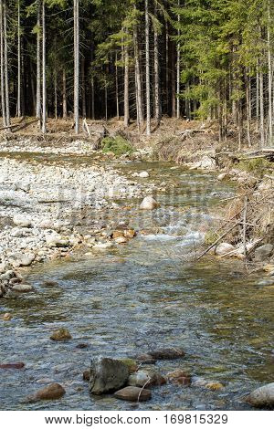 Mountain stream in Chocholwska Valley. Tatra Poland