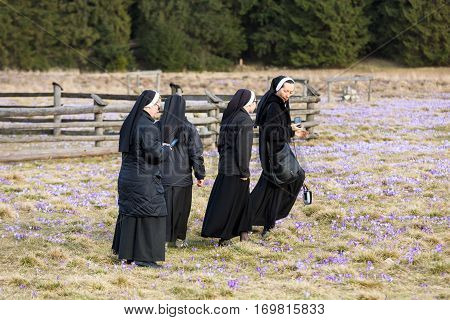 CHOCHOLOWSKA VALLEY, POLAND - MARZ 31, 2016|: Nuns on mountain meadow with crocus flowers blooming
