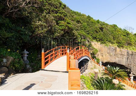 Aoshima Shrine