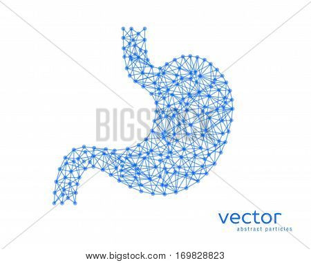 Abstract vector illustration of human stomach on white background.