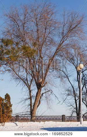 Winter Park On The Embankment