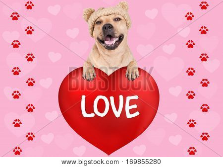 lovely cute dog hanging with paws on big valentine's day heart with text Love on pink background with hearts and foot print