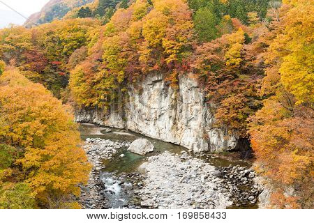Autumn forest and river in Japan
