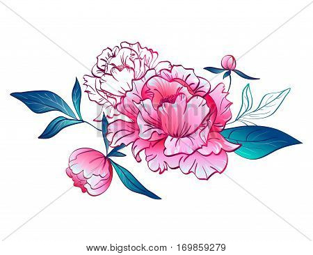 Pink peonies. Vector illustration on white background. It can be used for the logo, pattern, wedding invitations, cards, prints, texture fabric or wallpaper.