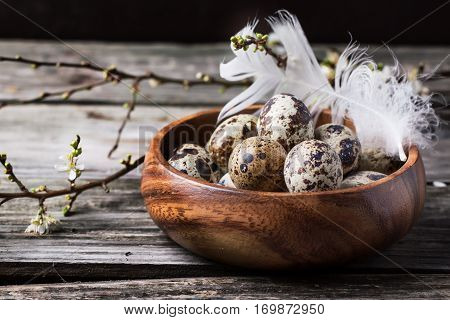Bowl Of Quail Eggs With Blossom Branch