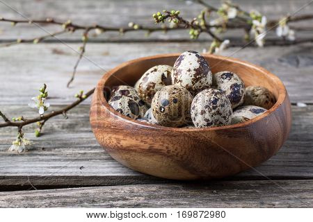 Bowl Of Quail Eggs With Blossom Branch