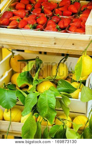 fruit market
