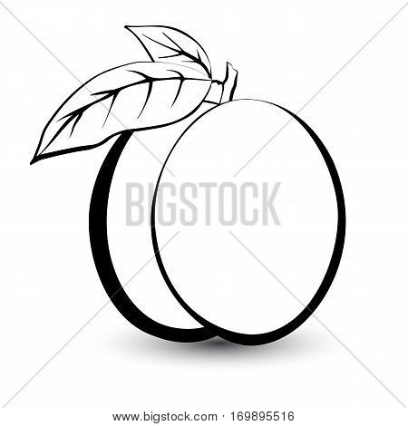 Outline sketch monochrome peach. Black and white elegant contour of the fruit. Drawing for coloring and design packaging for juices diet food.