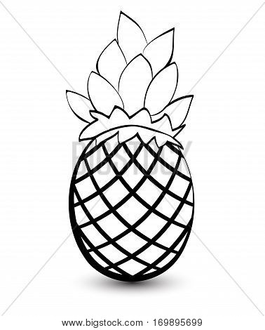 Outline sketch monochrome pineapple. Black and white elegant contour of the fruit. Drawing for coloring and design packaging for juices diet food.