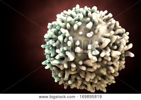 White blood cell, leukocyte, T or B lymphocyte, 3D illustration