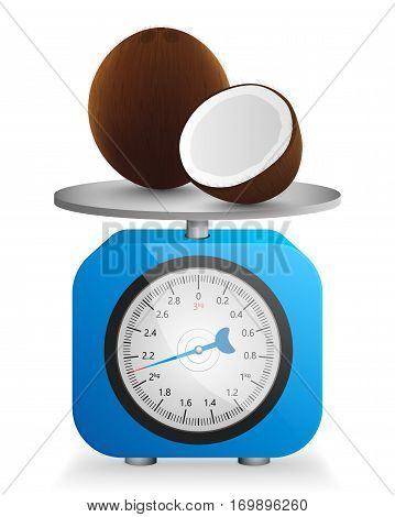 Coconut and slice on blue mechanical scale vector