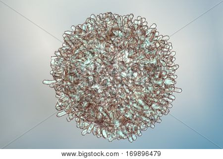 White blood cell, leukocyte, T or B lymphocyte, 3D illustration