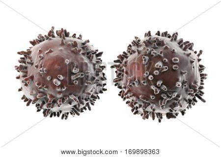 B- and T-lymphocytes. Immune cells isolated on white background. 3D illustration