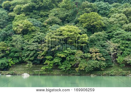 Lake in Arashiyama
