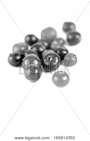 Cranberries on white background - studio shot