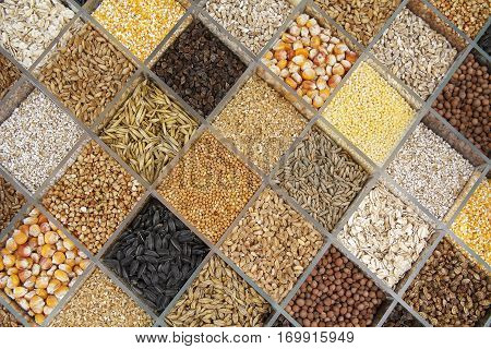 Various seeds for planting in the cells. Natural texture.