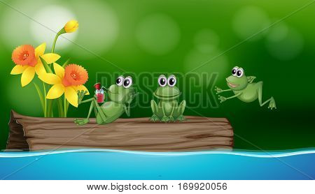 Three green frogs on the log illustration
