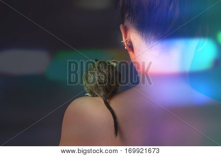rodent sitting on shoulder of young woman
