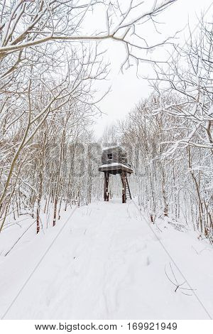 NIKOLA-LENIVETS RUSSIA - January 15 2017. Artobject 