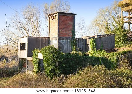 Old abandoned concrete factory structure overtaken by nature