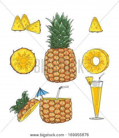 Pineapple. Fruit Vector Set Art Hand Drawn  Cute Cartoon Illustration
