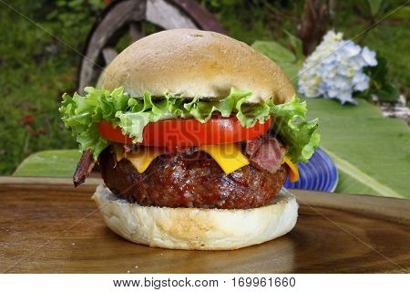 Buger