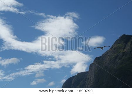 Fiordos noruegos