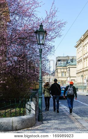 People walking in an alleyway with trees and lantern. It is early spring