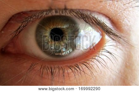 Close-up of the eye of middle-aged men