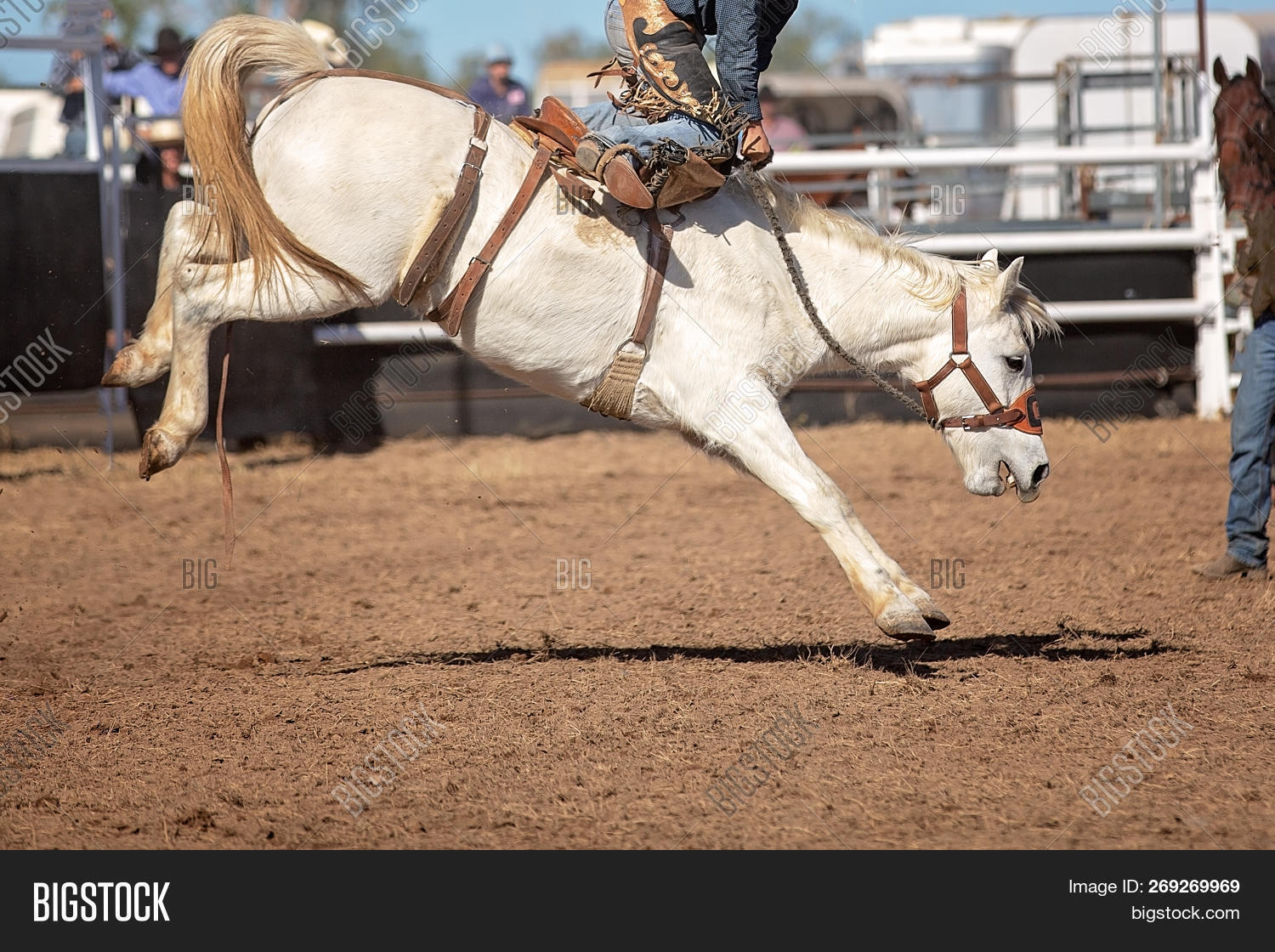 Cowboy Rides Wildly Image & Photo (Free Trial) Bigstock