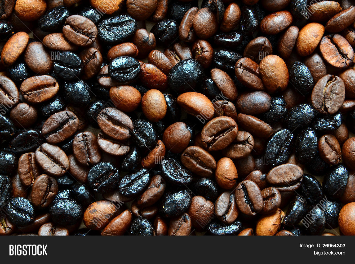 Coffee Beans (natural Image & Photo (Free Trial) Bigstock