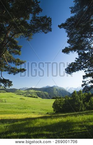 Pastoral Landscape With Green Grass And Mountains Framed By Pine Branches. Multidimensional View.