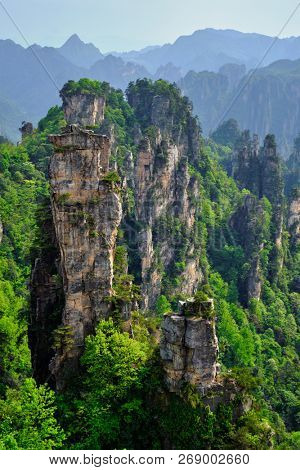 Famous tourist attraction of China - Zhangjiajie stone pillars cliff mountains on sunset at Wulingyuan, Hunan, China