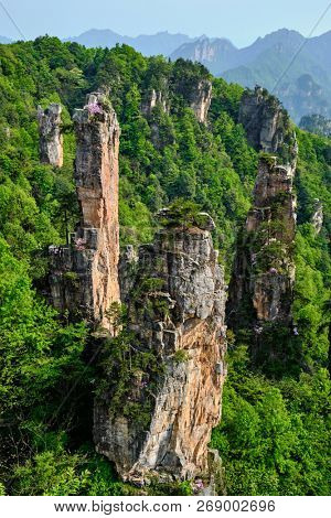 Famous tourist attraction of China - Zhangjiajie stone pillars cliff mountains on sunset at Wulingyuan, Hunan, China