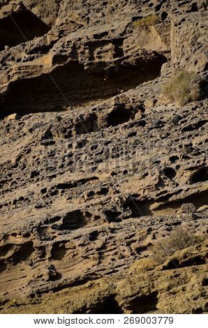 Photo Picture Of The Beautiful Ocean Coasts View Montana Amarilla La Pelada Tenerife