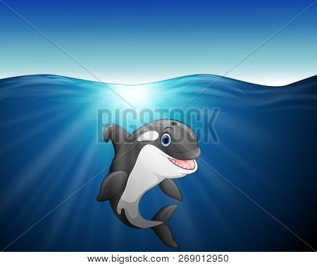 Vector Illustration Cartoon Of The Killer Whale Sea