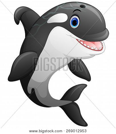 Vector Illustration Cartoon Of The Cute Killer Whale