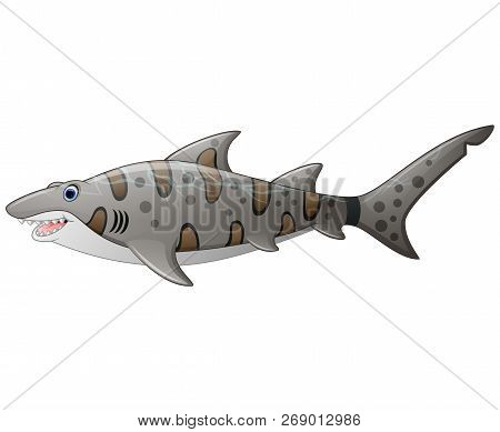 Vector Illustration Cartoon Of The Tiger Shark